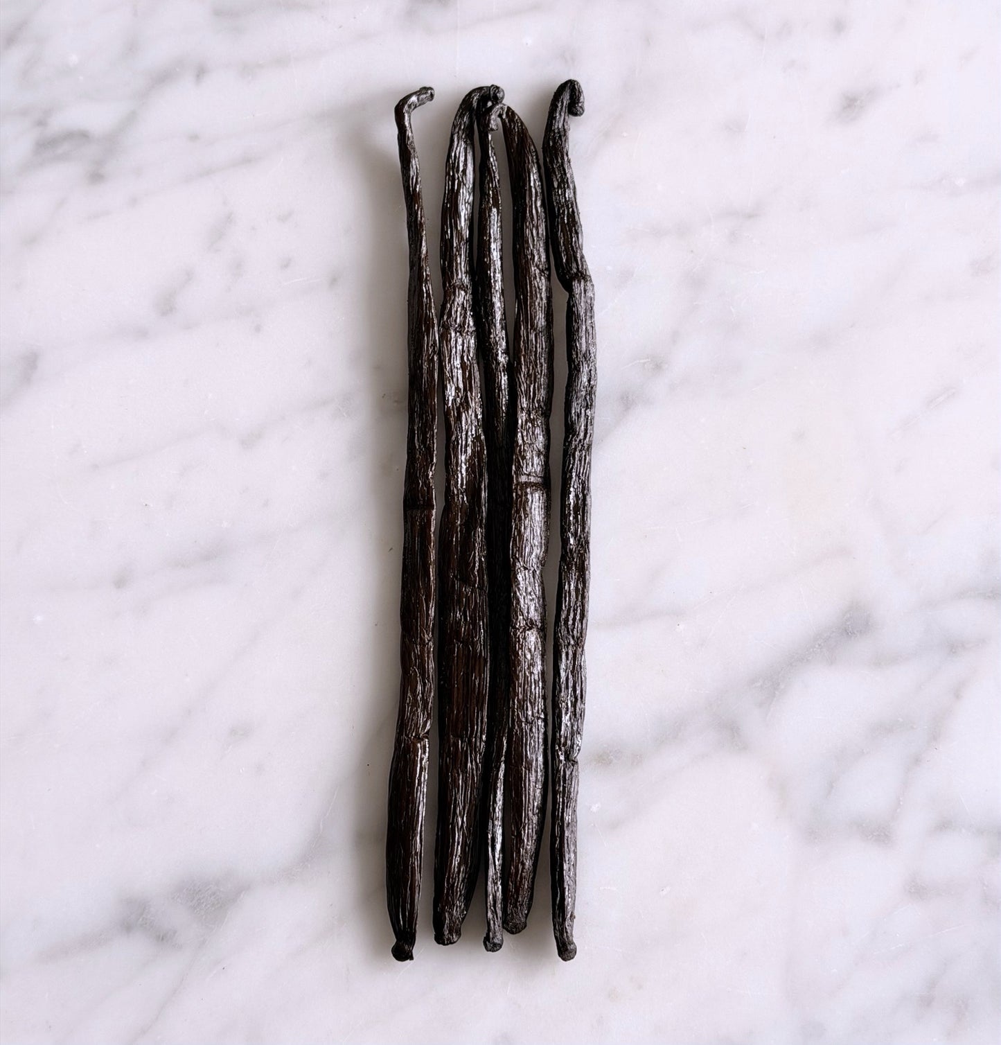 5 Bourbon Vanilleschoten aus Madagascar (20cm+)